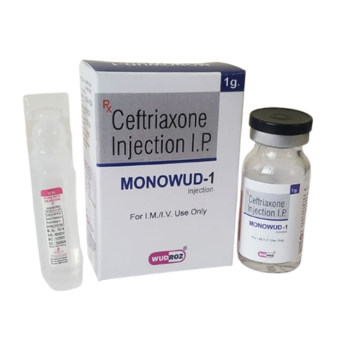 MONOWUD-1 GM